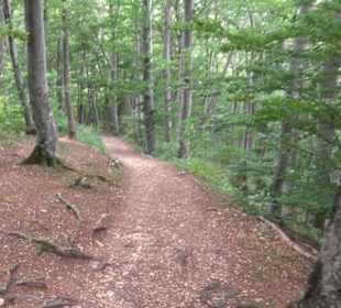 Hochgeträumt Premiumwanderung