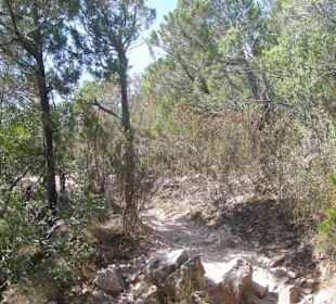 Il sentiero per salire