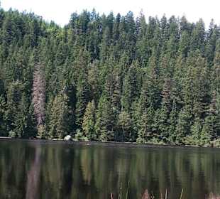 Mummelsee