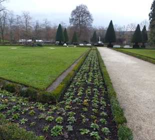 Pflanzrabatten im Winter