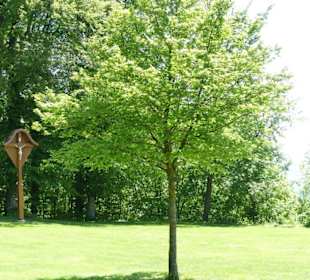 Picknickmöglichkeit oben auf der Wiese