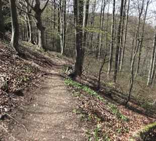 Wanderweg Hochgehkämpft