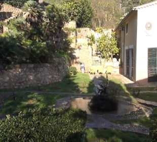 Aussenbereich - Felsengarten