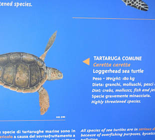 Aquarium Cala Gonone