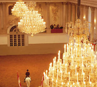 Spanish riding school