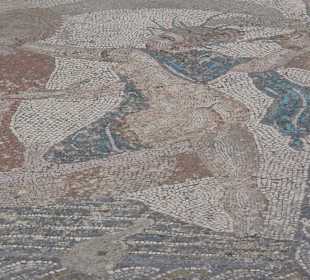 Weitere Mosaiken Volubilis