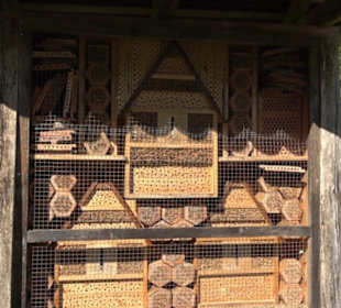 Kurpark Bad Niedernau