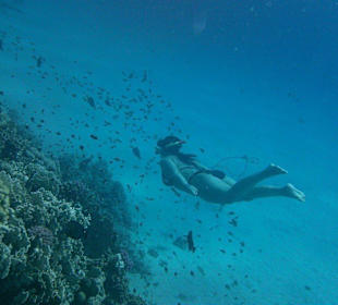 Šnorchlování u hotelu