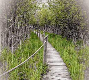 Wandern Trumer Seenland