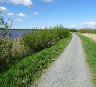 Rundgang um den Bederkesaer See