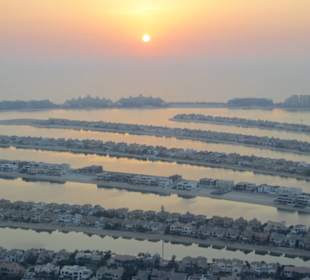 The View of the Palm