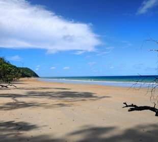 Cow Bay Beach 15 minutes walk from B&B Cow Bay Homestay