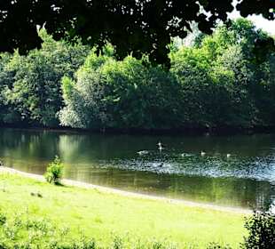 Impressionen vom Mahndorfer See