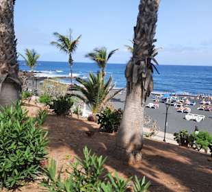 Wandern Puerto de la Cruz