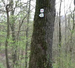 Höhle "Kleine Grotte