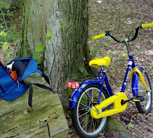 Pfälzerwald Tour in Waldfischbach-Burgalben