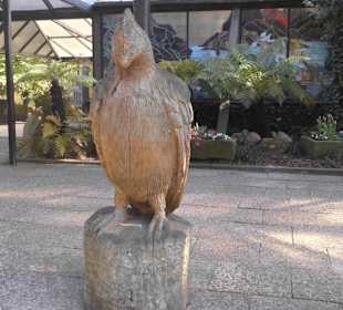 Weltvogelpark Walsrode