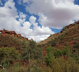 Olgas / Kata Tjuta