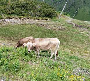 Wandern Verwall St. Anton am Arlberg