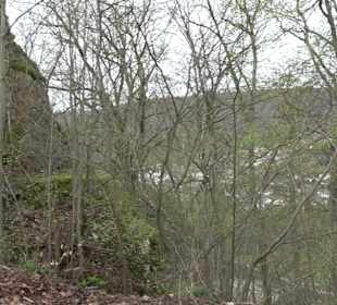 Wanderung rund um das Rusenschloss Gerhausen
