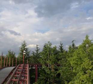 Imagination - Tret-O-Mobil