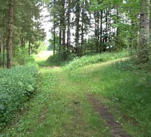 Premiumwanderweg "hochgehackert"