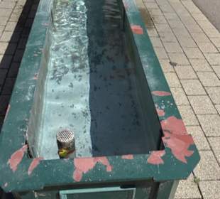 Haupt- und Landgestüt Marbach