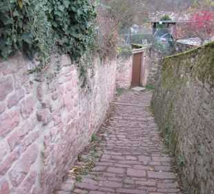 Schlangenweg zum Philosophenweg