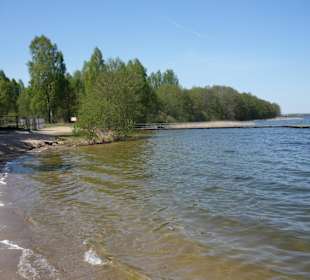 Dąbrowa Wielka
