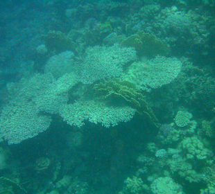 Sharm el Naga