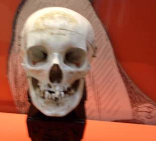 Ausstellungsstück