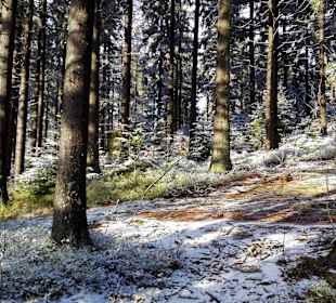 Wandern Aigen-Schlägl
