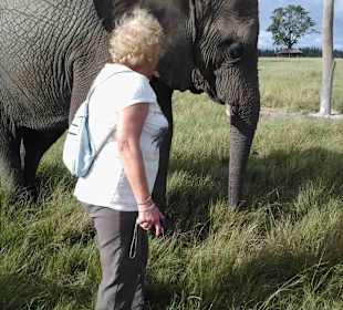 Knynsa Elephant Park