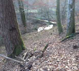 Schönbuch Schaichtal