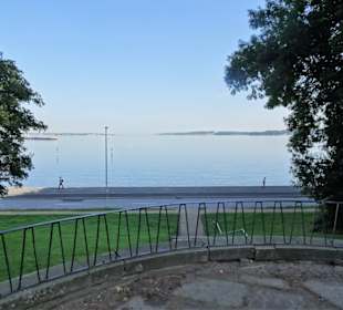 Balkon im Diederichsenpark