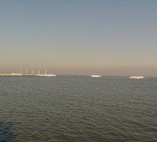 Fahrten mit Tragflügelbooten auf Ostsee u Newa