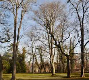 Park um Gradierwerk
