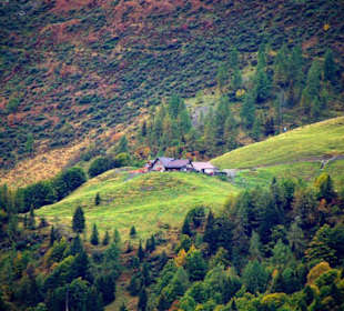 Plöckenpass Ende September 2010