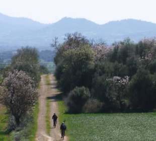 Mountainbike - Mallorca