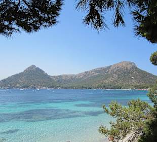Strand von Formentor mit Linienbus ab Alcudia