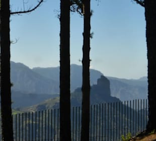 TRIPGRANCANARIA: Aussicht bei Cruz de Tejeda