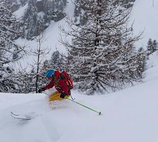 Freeriden vom Feinsten