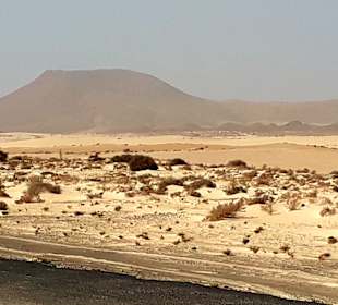 Dünen von Corralejo