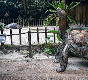 Singapur Zoo