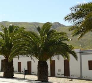 Mit dem Auto unterwegs