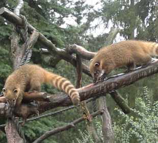 Zoo Olomouc