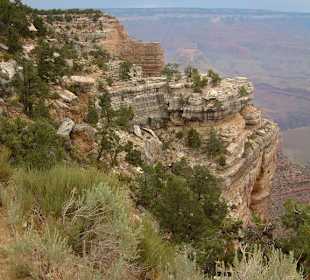Parco nazionale Grand Canyon