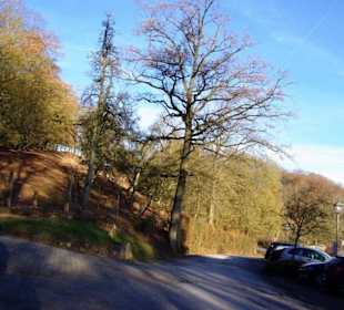 Hinten links gehört schon dazu