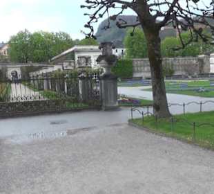 Mirabellgarten