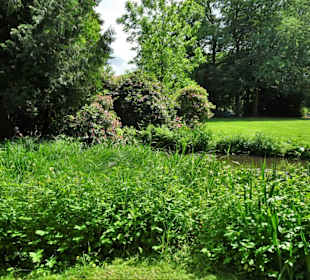 Sommeranfang im Schlossgarten Oldenburg